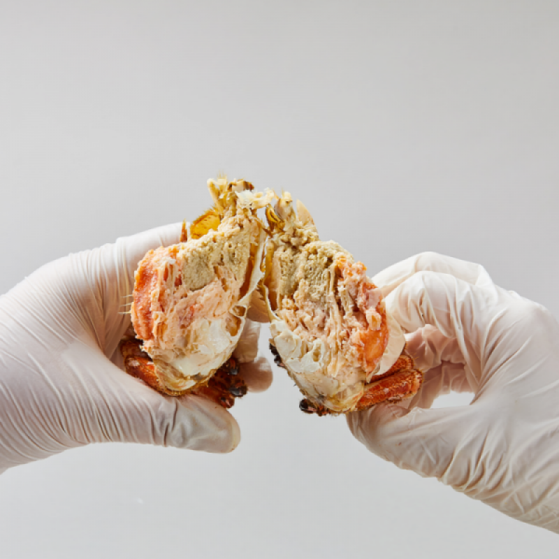 러시아대게, 대게, 자숙대게, 선어대게, 대게찜, 선어, 킹크랩, 러시아킹크랩, 홍게, 마가단, 프리모리, 활대게, 라이브대게, 대게택배, 킹크랩, 레드킹크랩, 블루킹크랩, 브라운킹크랩, 활 킹크랩, 선어킹크랩, 킹크랩자숙, 킹크랩찜, 브라운크랩, 수산물, 해산물, 홍게택배, 건어물, 가자미세꼬시, 세꼬시회, 미주구리, 임연수, 이면수, 대구, 생대구, 코다리, 양미리, 동해대게, 동해러시아대게, 오징어입, 맥주안주, 동해항씨푸드