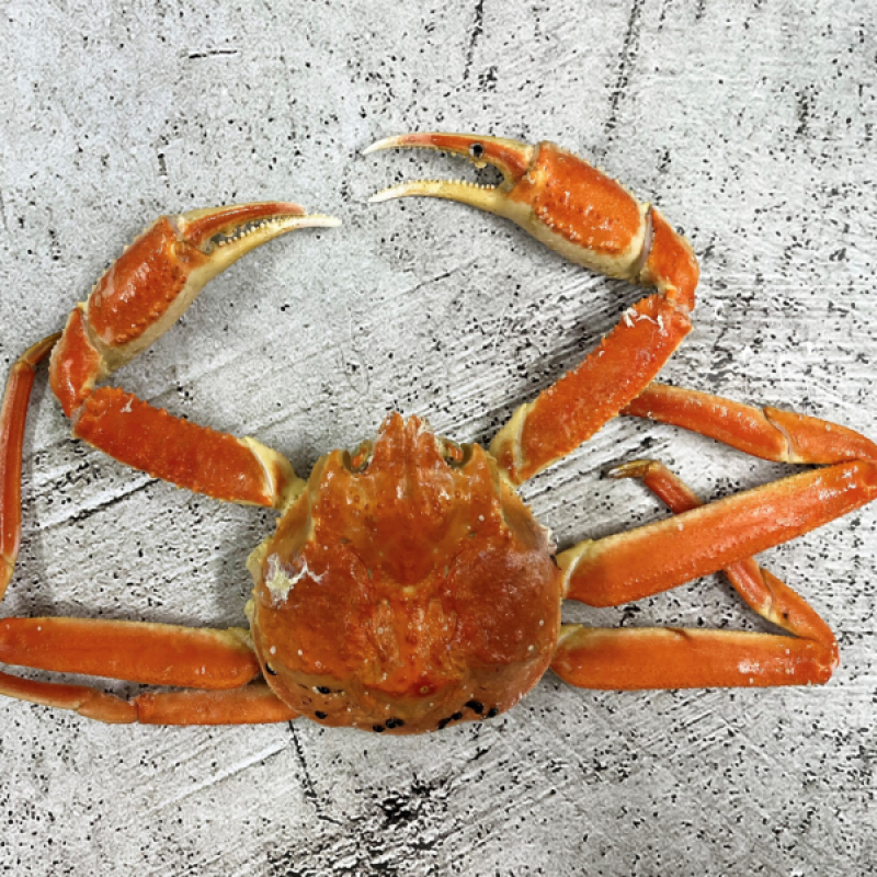 러시아대게, 대게, 자숙대게, 선어대게, 대게찜, 선어, 킹크랩, 러시아킹크랩, 홍게, 마가단, 프리모리, 활대게, 라이브대게, 대게택배, 킹크랩, 레드킹크랩, 블루킹크랩, 브라운킹크랩, 활 킹크랩, 선어킹크랩, 킹크랩자숙, 킹크랩찜, 브라운크랩, 수산물, 해산물, 홍게택배, 건어물, 가자미세꼬시, 세꼬시회, 미주구리, 임연수, 이면수, 대구, 생대구, 코다리, 양미리, 동해대게, 동해러시아대게, 오징어입, 맥주안주, 동해항씨푸드