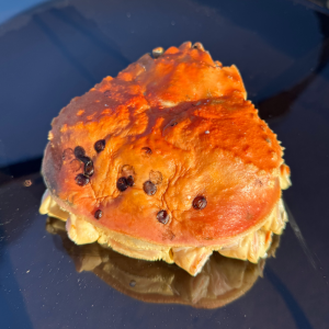 동해항씨푸드 러시아대게 게딱지장 내장볶음밥 라면용 대게 게딱지 대게몸통 6개