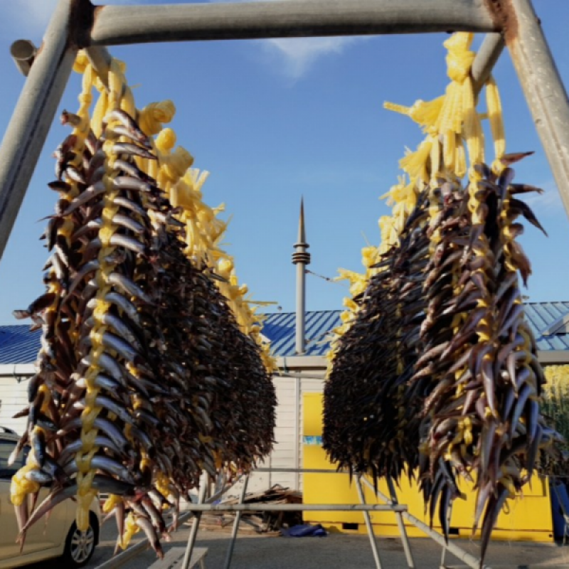 러시아대게, 대게, 자숙대게, 선어대게, 대게찜, 선어, 킹크랩, 러시아킹크랩, 홍게, 마가단, 프리모리, 활대게, 라이브대게, 대게택배, 킹크랩, 레드킹크랩, 블루킹크랩, 브라운킹크랩, 활 킹크랩, 선어킹크랩, 킹크랩자숙, 킹크랩찜, 브라운크랩, 수산물, 해산물, 홍게택배, 건어물, 가자미세꼬시, 세꼬시회, 미주구리, 임연수, 이면수, 대구, 생대구, 코다리, 양미리, 동해대게, 동해러시아대게, 오징어입, 맥주안주, 동해항씨푸드