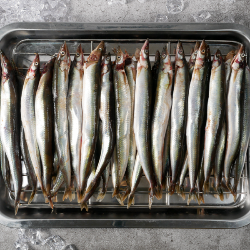 러시아대게, 대게, 자숙대게, 선어대게, 대게찜, 선어, 킹크랩, 러시아킹크랩, 홍게, 마가단, 프리모리, 활대게, 라이브대게, 대게택배, 킹크랩, 레드킹크랩, 블루킹크랩, 브라운킹크랩, 활 킹크랩, 선어킹크랩, 킹크랩자숙, 킹크랩찜, 브라운크랩, 수산물, 해산물, 홍게택배, 건어물, 가자미세꼬시, 세꼬시회, 미주구리, 임연수, 이면수, 대구, 생대구, 코다리, 양미리, 동해대게, 동해러시아대게, 오징어입, 맥주안주, 동해항씨푸드